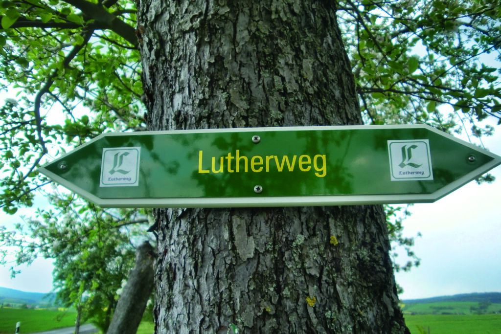 Wegweiser am Baum zum Lutherweg